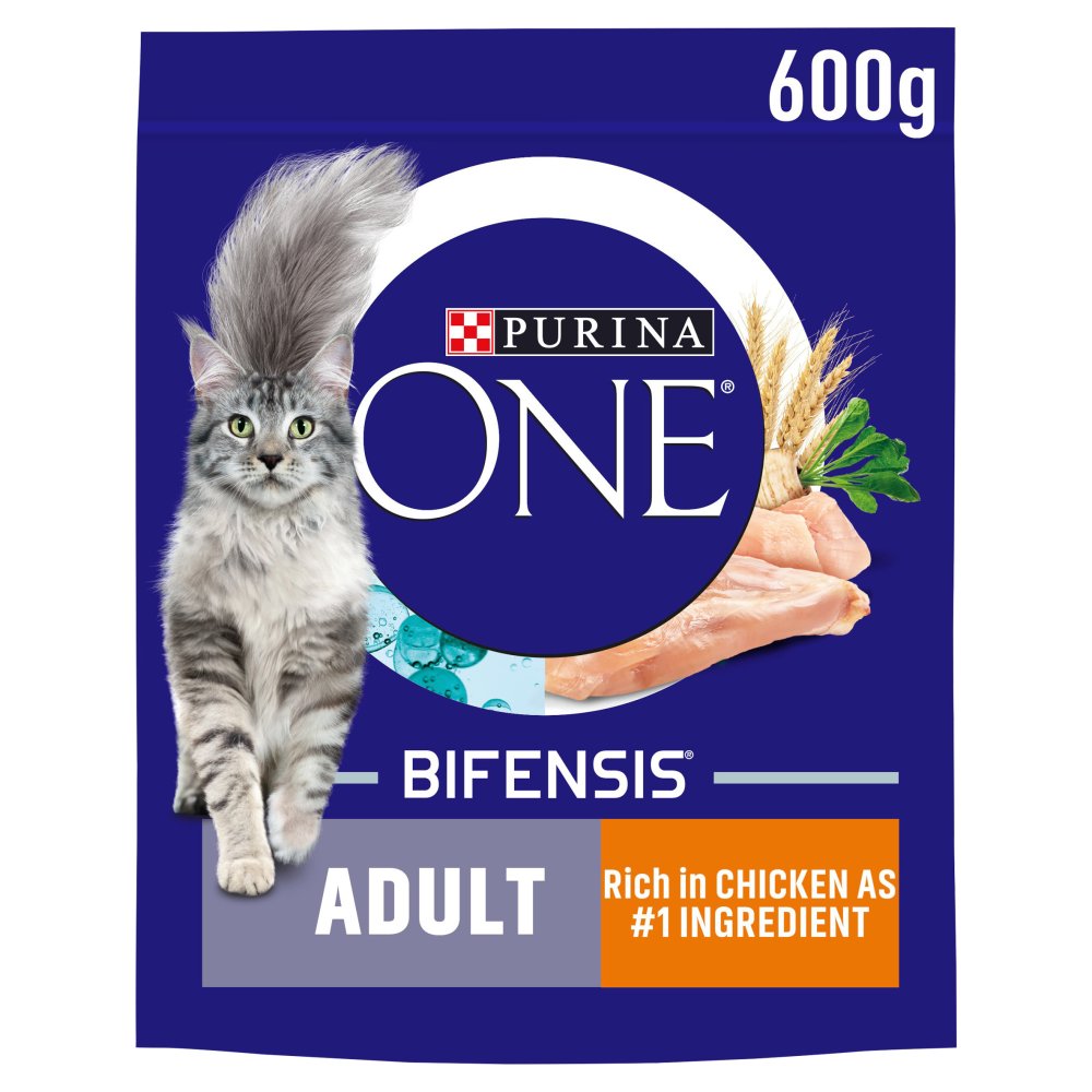 PURINA ONE Chicken Dry Cat Food PMP (600g × 4 × 1)
