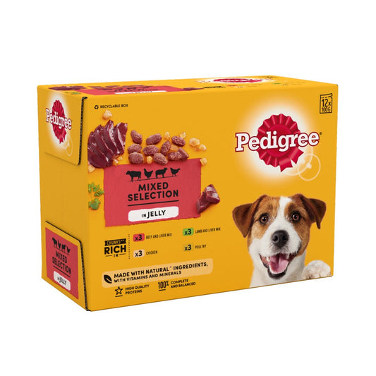 Pedigree Adult Wet Dog Food Pouches Mixed in Jelly (100g × 1)