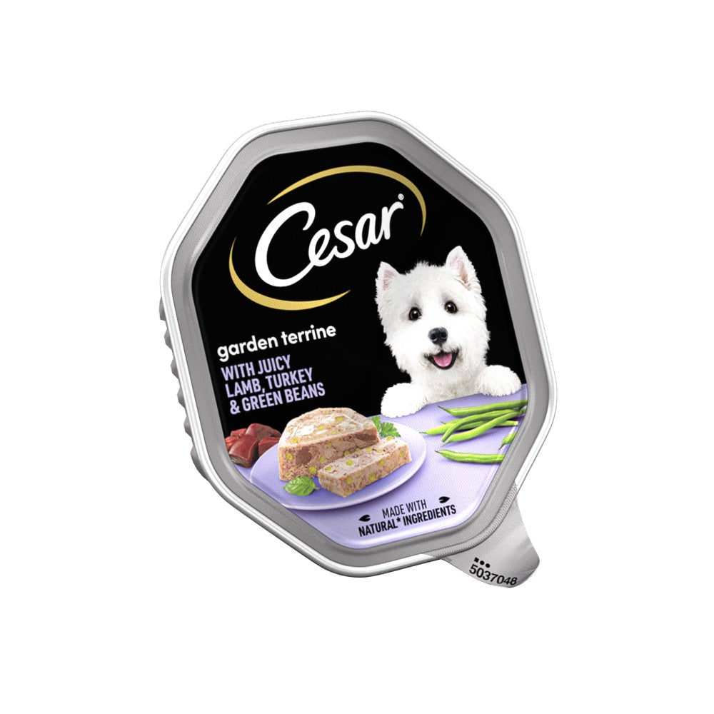 Cesar Garden Terrine Dog Food Tray Lamb, Turkey & Green Beans in Loaf (150g × 14 × 1)