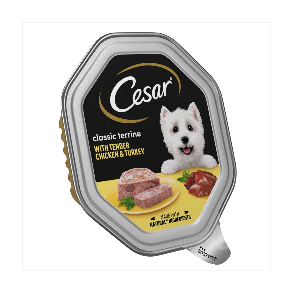 Cesar Classic Terrine Dog Food Tray Chicken & Turkey in Loaf (150g × 14 × 1)